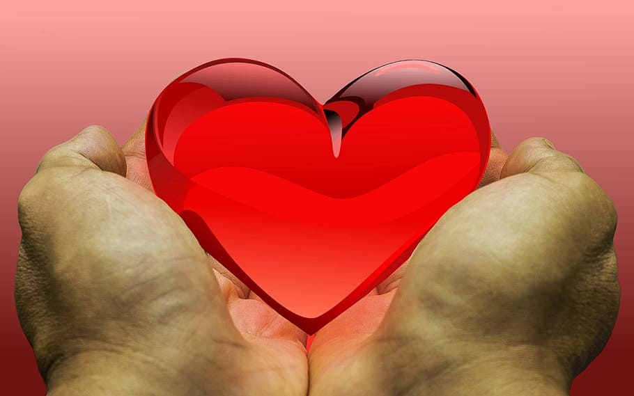 feeling-love-heart-donation